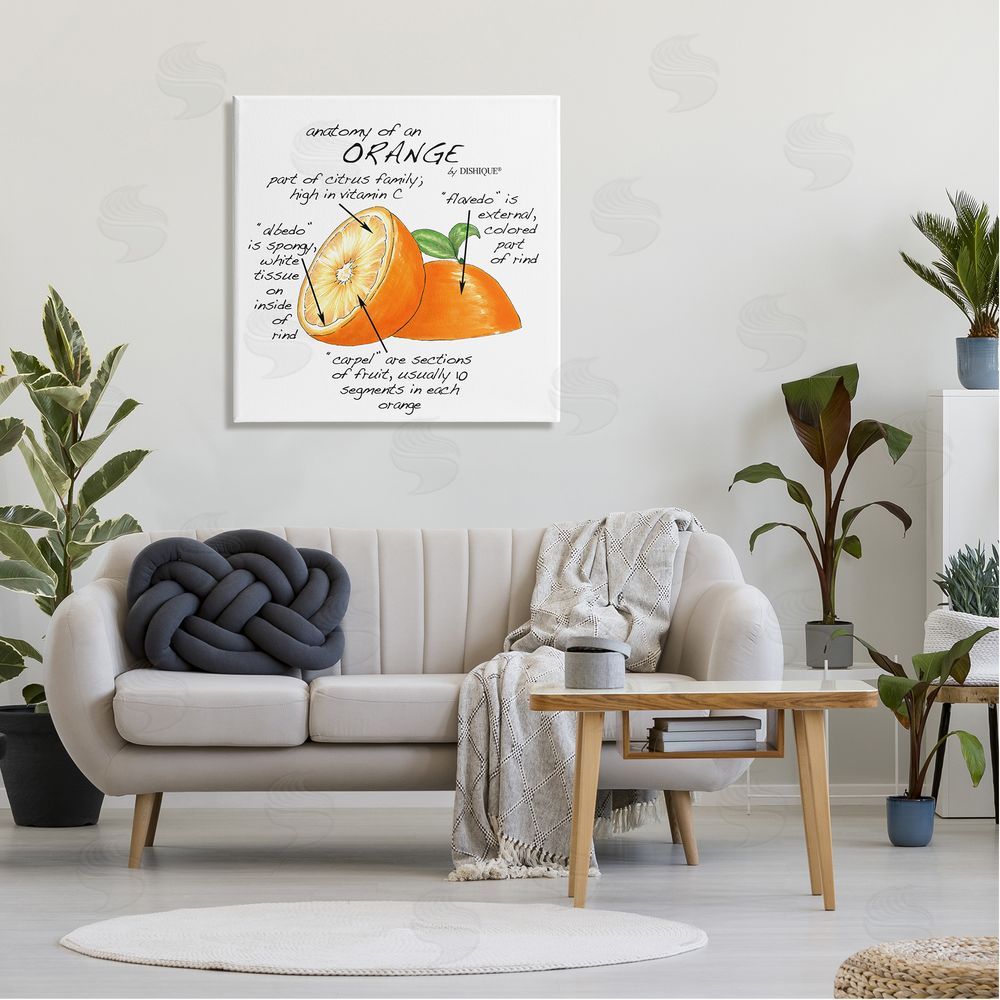 Dishique Orange Citrus Fruit Chart Informative Learning Diagram Canvas Wall Art in Room