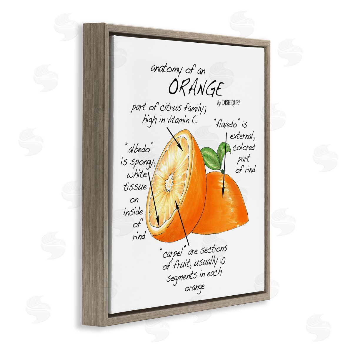 Dishique Orange Citrus Fruit Chart Informative Learning Diagram Brown Floating Frame Canvas Wall Art Print