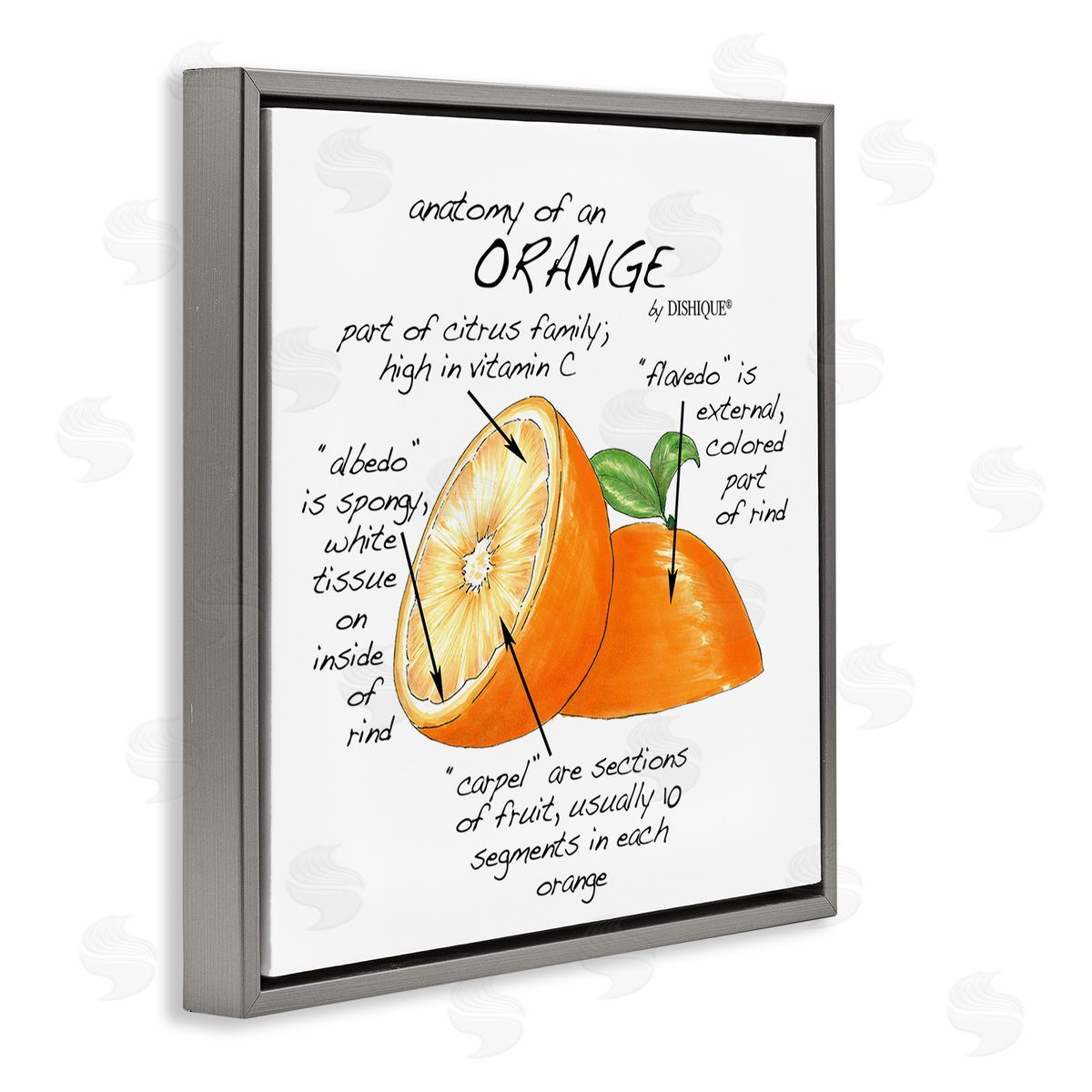 Dishique Orange Citrus Fruit Chart Informative Learning Diagram Gray Floating Frame Canvas Wall Art Print