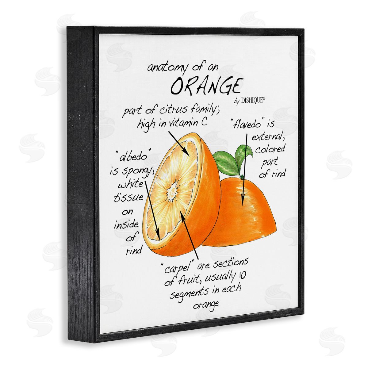 Dishique Orange Citrus Fruit Chart Informative Learning Diagram Black Framed Glicee Wall Art Print