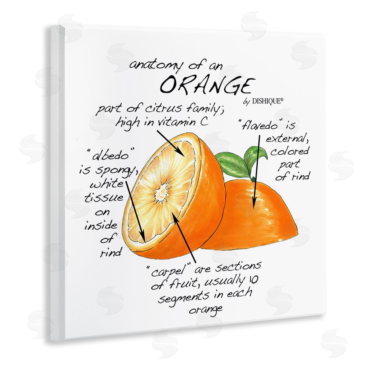 Dishique Orange Citrus Fruit Chart Informative Learning Diagram Wooden Wall Plaque Art Print