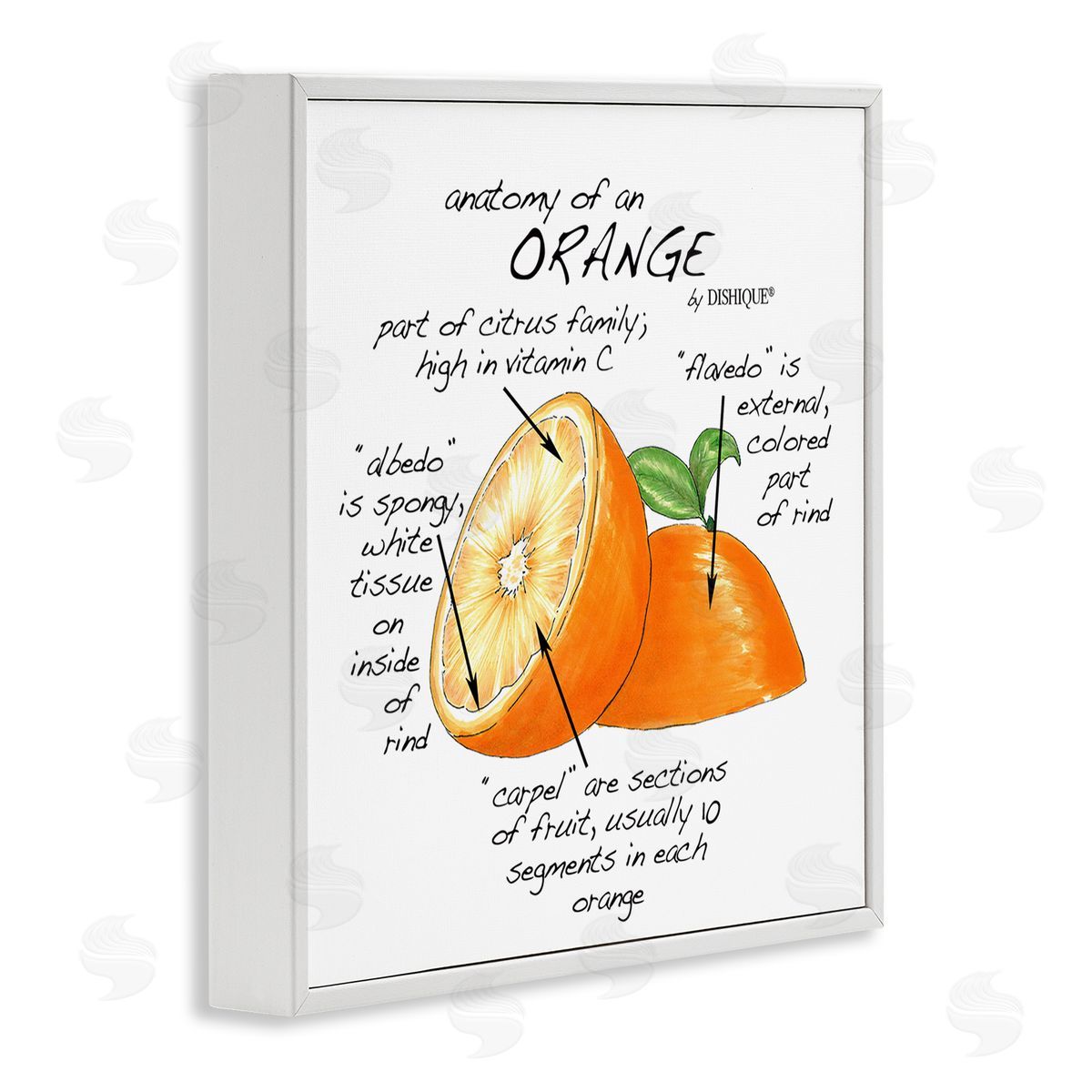 Dishique Orange Citrus Fruit Chart Informative Learning Diagram White Framed Glicee Wall Art Print