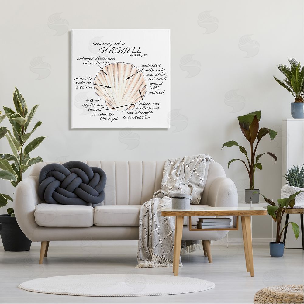 Dishique Anatomy of Seashell Educational Marine Life Facts Chart Canvas Wall Art in Room