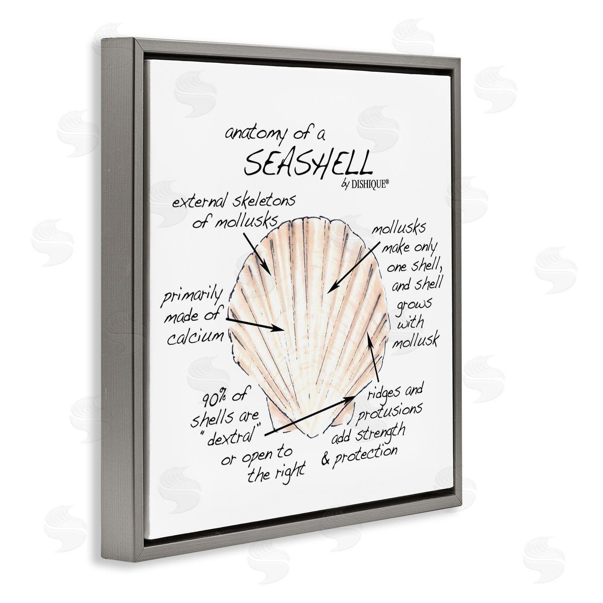 Dishique Anatomy of Seashell Educational Marine Life Facts Chart Gray Floating Frame Canvas Wall Art Print