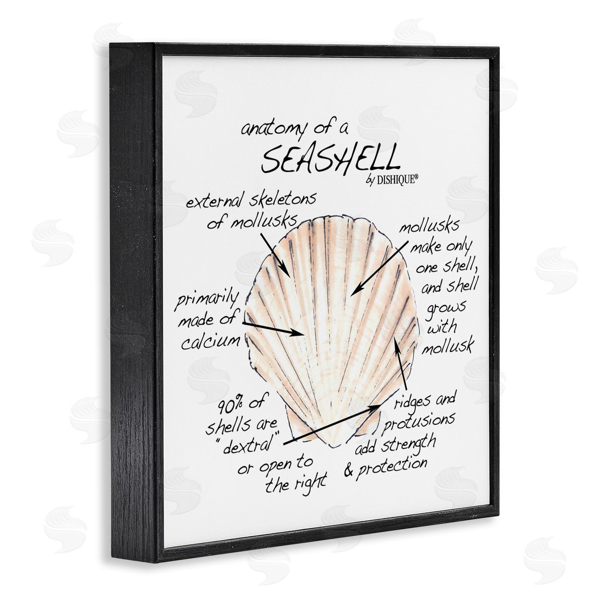 Dishique Anatomy of Seashell Educational Marine Life Facts Chart Black Framed Glicee Wall Art Print