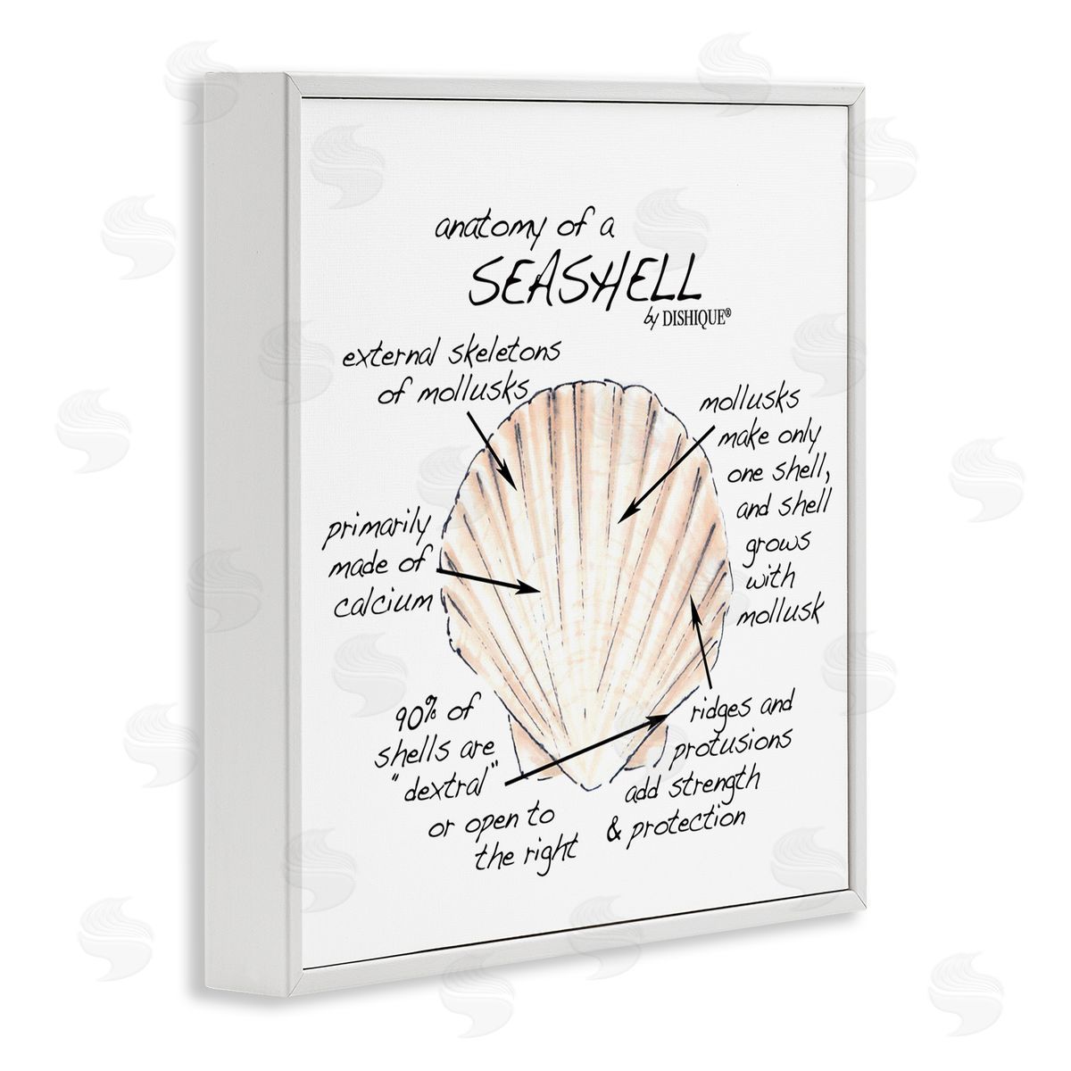 Dishique Anatomy of Seashell Educational Marine Life Facts Chart White Framed Glicee Wall Art Print