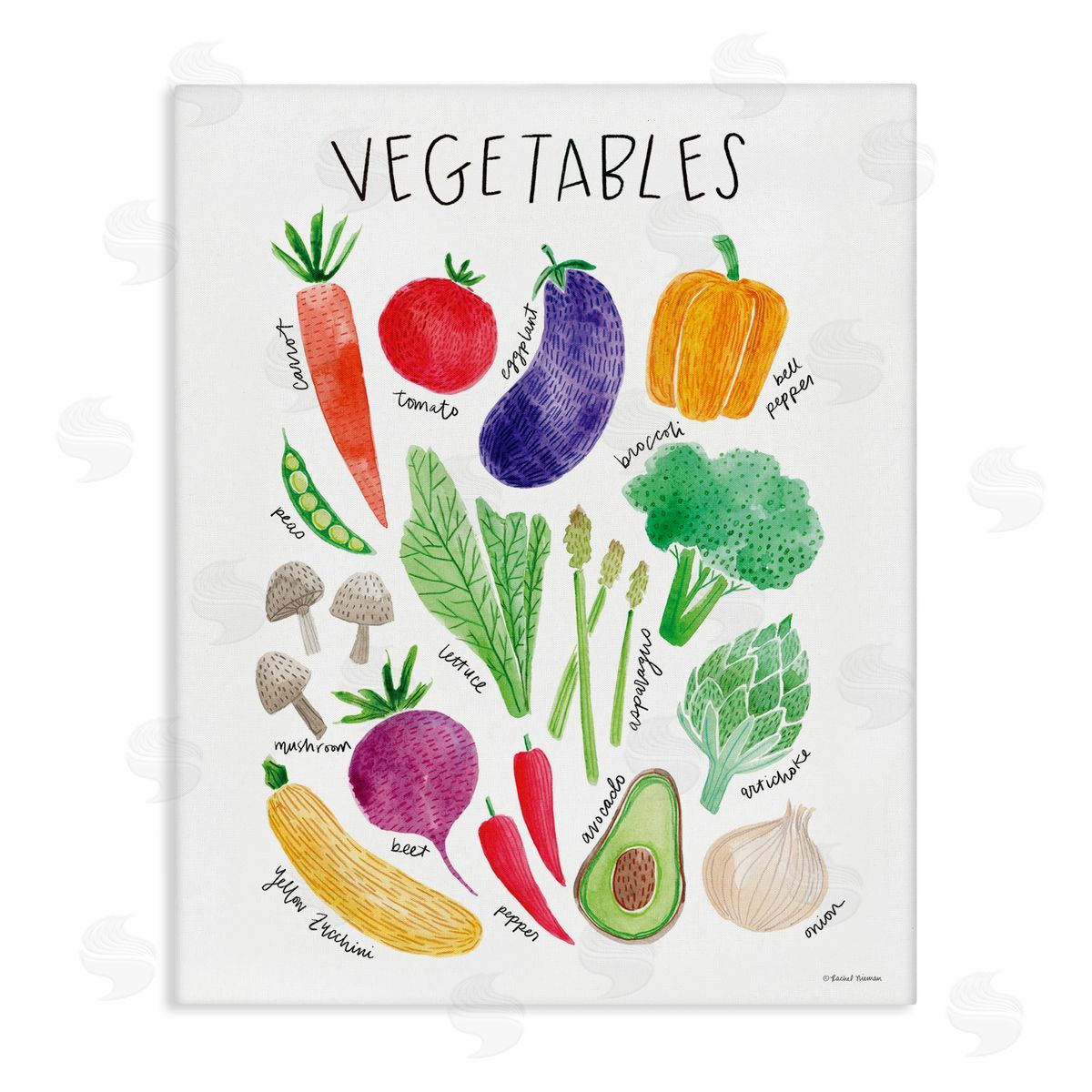Rachel Nieman Varied Vegetables Plants Labeled Diagram Kitchen Sign Stretched Canvas Wall Art Print