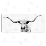 PHBurchett  | Modern Longhorn Cattle Gazing