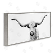 PHBurchett  | Modern Longhorn Cattle Gazing
