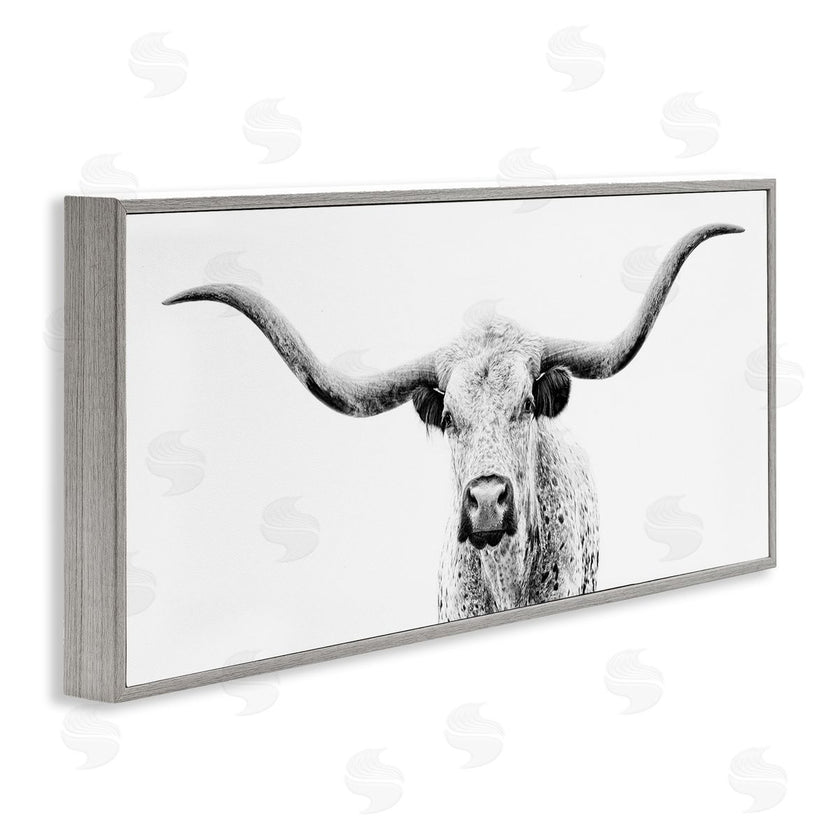 PHBurchett  | Modern Longhorn Cattle Gazing