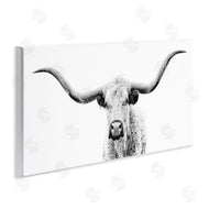 PHBurchett  | Modern Longhorn Cattle Gazing