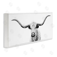 PHBurchett  | Modern Longhorn Cattle Gazing
