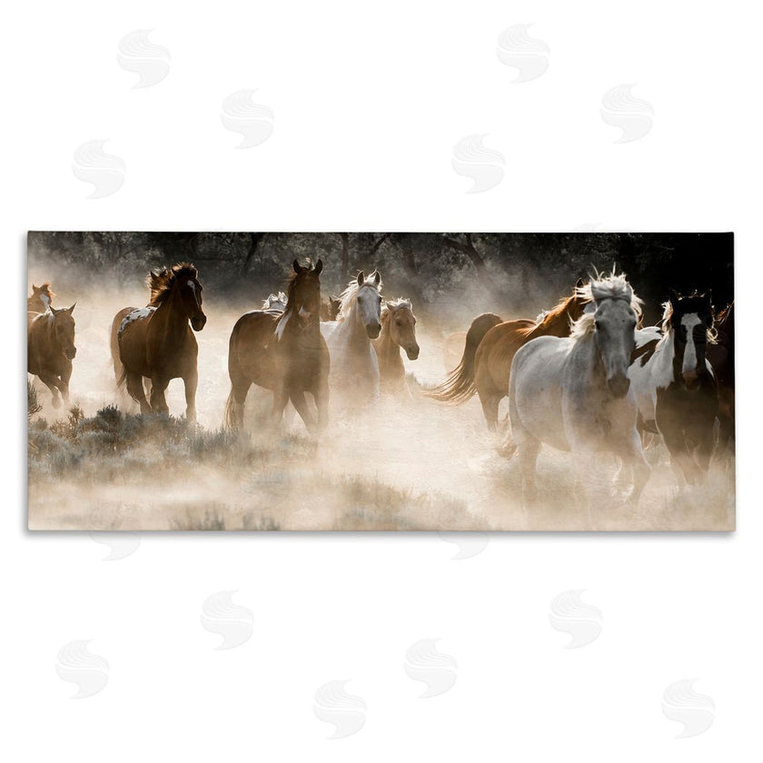 Danita Delimont | Striking Horse Herd Galloping