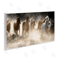 Danita Delimont | Striking Horse Herd Galloping