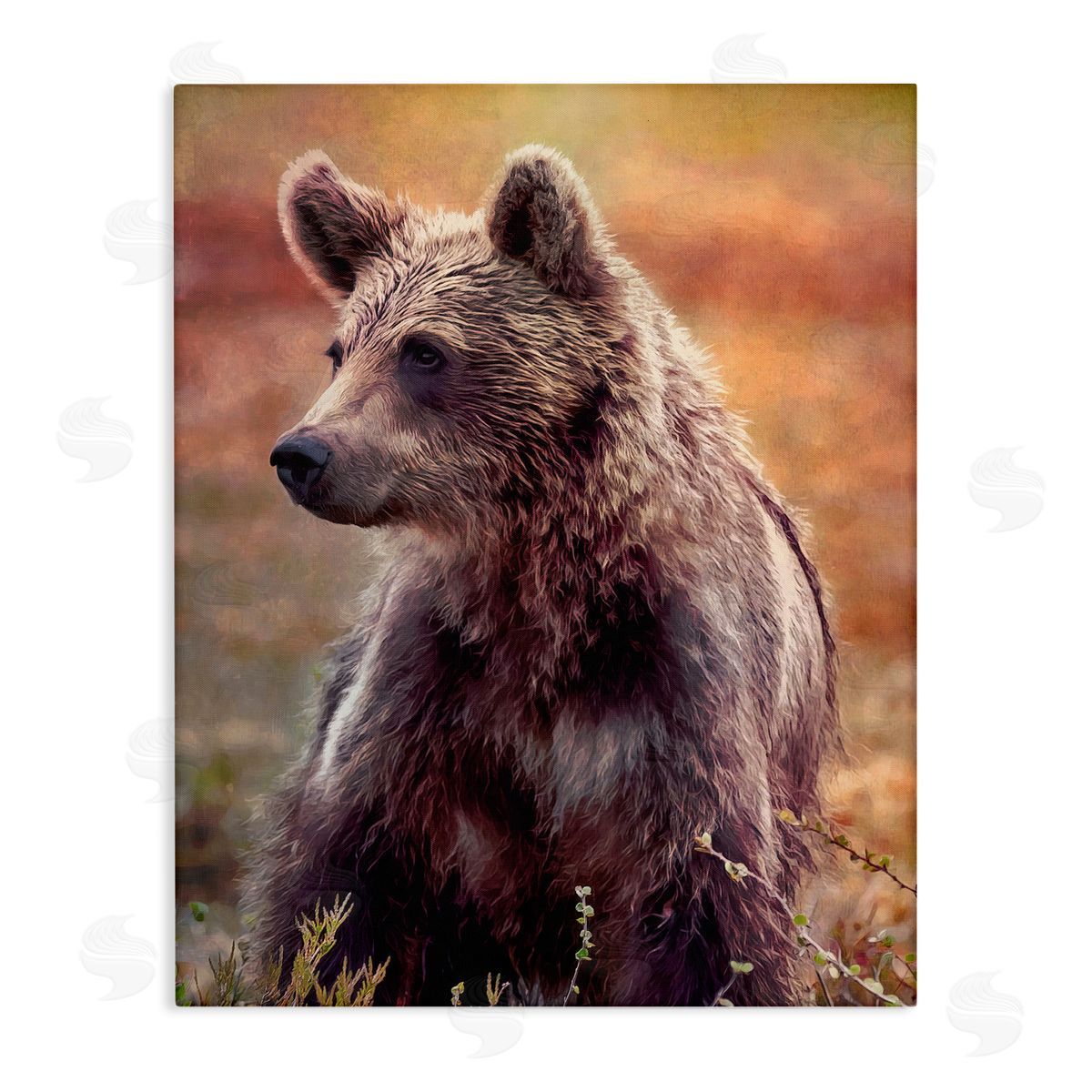 Alpenglow Workshop Majestic Baby Bear Warm Sunlit Forest Habitat  Stretched Canvas Wall Art Print