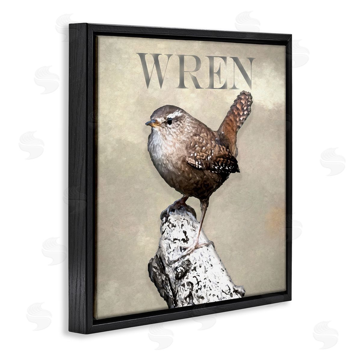 Alpenglow Workshop Wren Bird Standing Casual Nature Breed Typography Black Floating Frame Canvas Wall Art Print