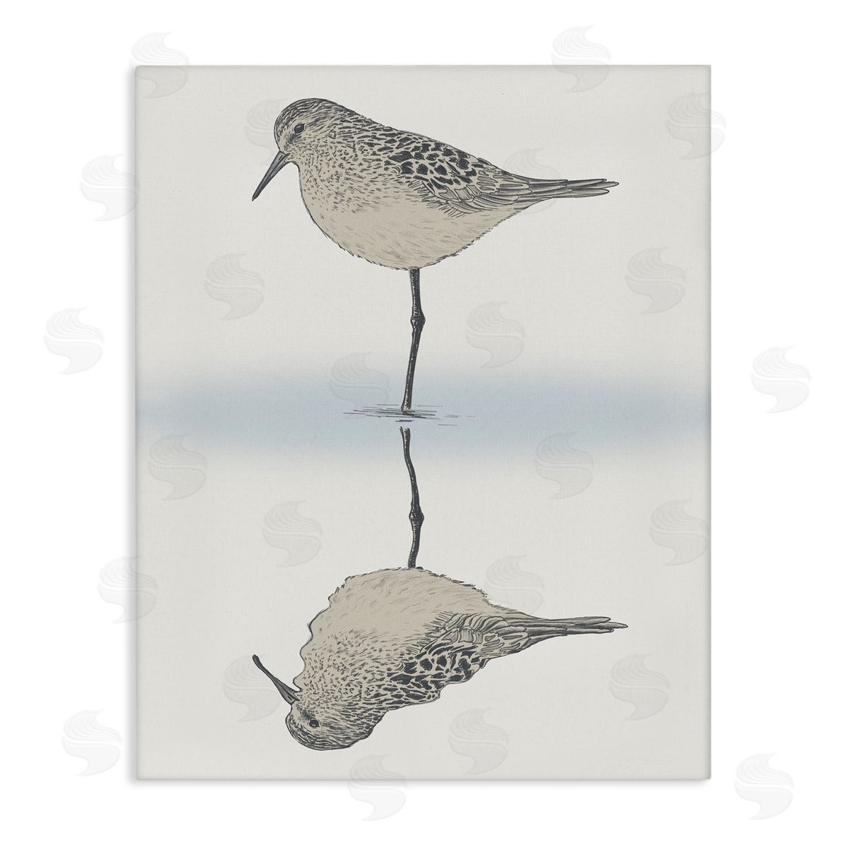 Tranquil Sandpiper Bird Reflection Canvas Wall Art, Home Decor by Ziwei Li