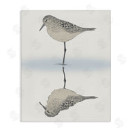 Ziwei Li | Tranquil Sandpiper Bird Reflection