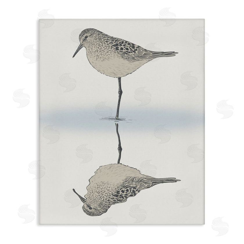 Ziwei Li | Tranquil Sandpiper Bird Reflection