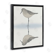 Ziwei Li | Tranquil Sandpiper Bird Reflection