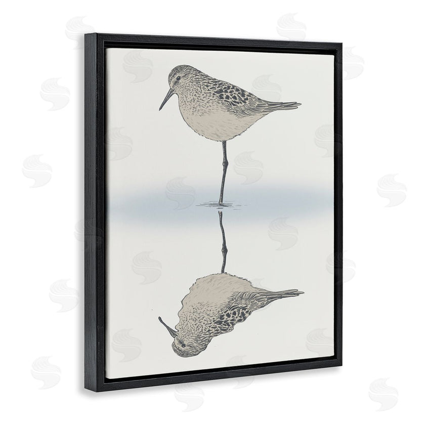 Ziwei Li | Tranquil Sandpiper Bird Reflection