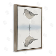 Ziwei Li | Tranquil Sandpiper Bird Reflection
