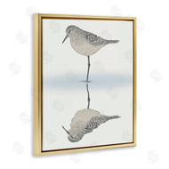 Ziwei Li | Tranquil Sandpiper Bird Reflection