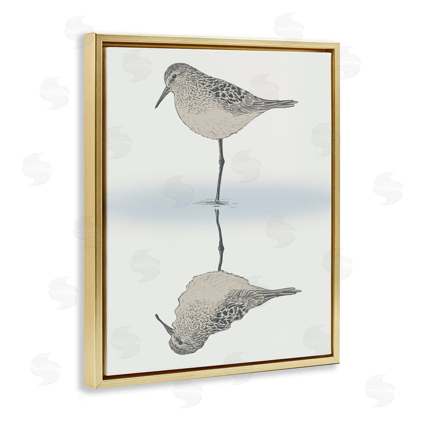 Ziwei Li | Tranquil Sandpiper Bird Reflection