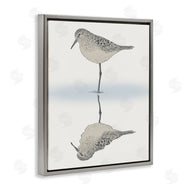 Ziwei Li | Tranquil Sandpiper Bird Reflection