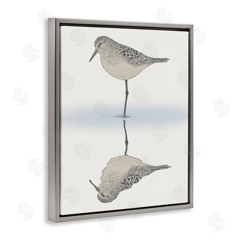 Ziwei Li | Tranquil Sandpiper Bird Reflection