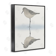 Ziwei Li | Tranquil Sandpiper Bird Reflection
