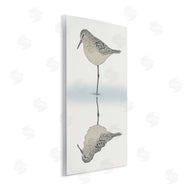 Ziwei Li | Tranquil Sandpiper Bird Reflection