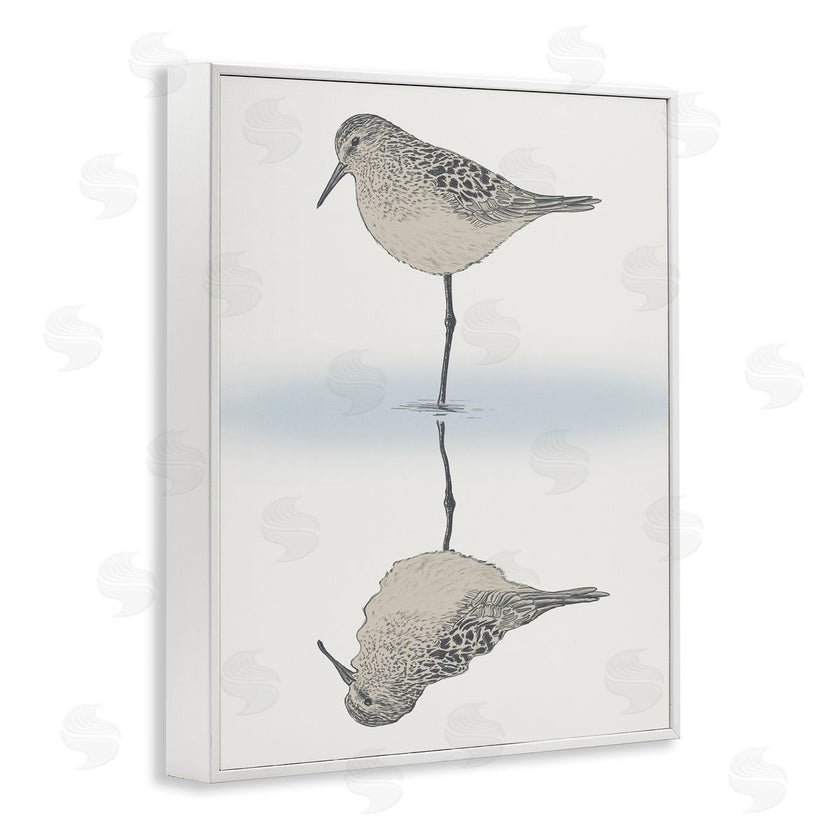 Ziwei Li | Tranquil Sandpiper Bird Reflection