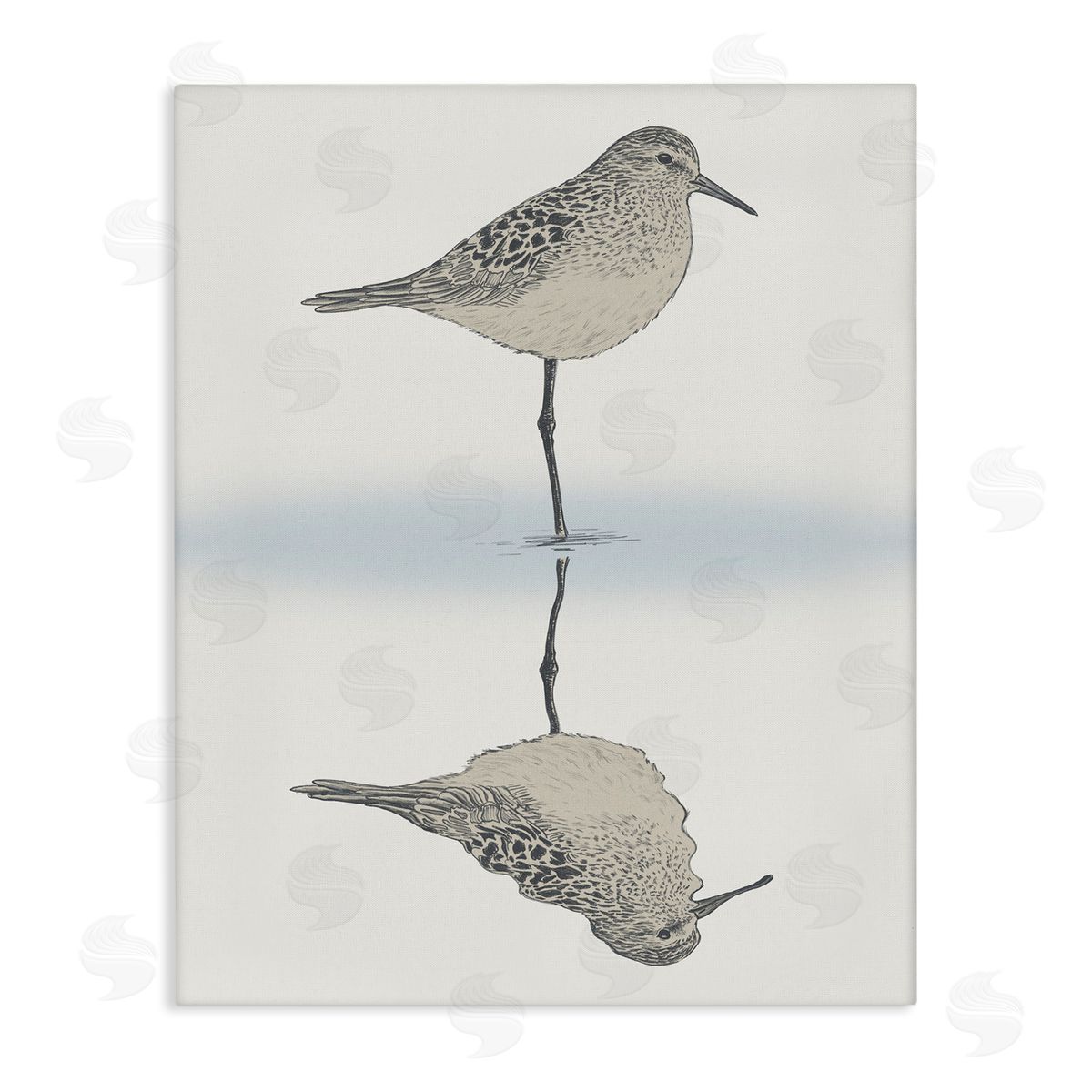 Ziwei Li Soothing Sandpiper Bird Standing Ocean Shoreline Reflection Stretched Canvas Wall Art Print