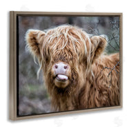 James Dobson | Baby Cattle Licking Lips