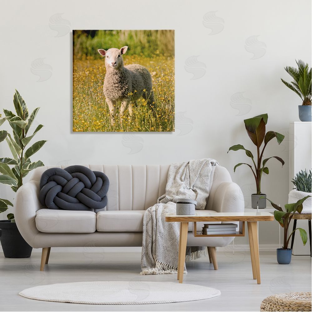 Stupell Studio Alert Baby Lamb Gazing Yellow Wild Flower Blossoms Canvas Wall Art in Room