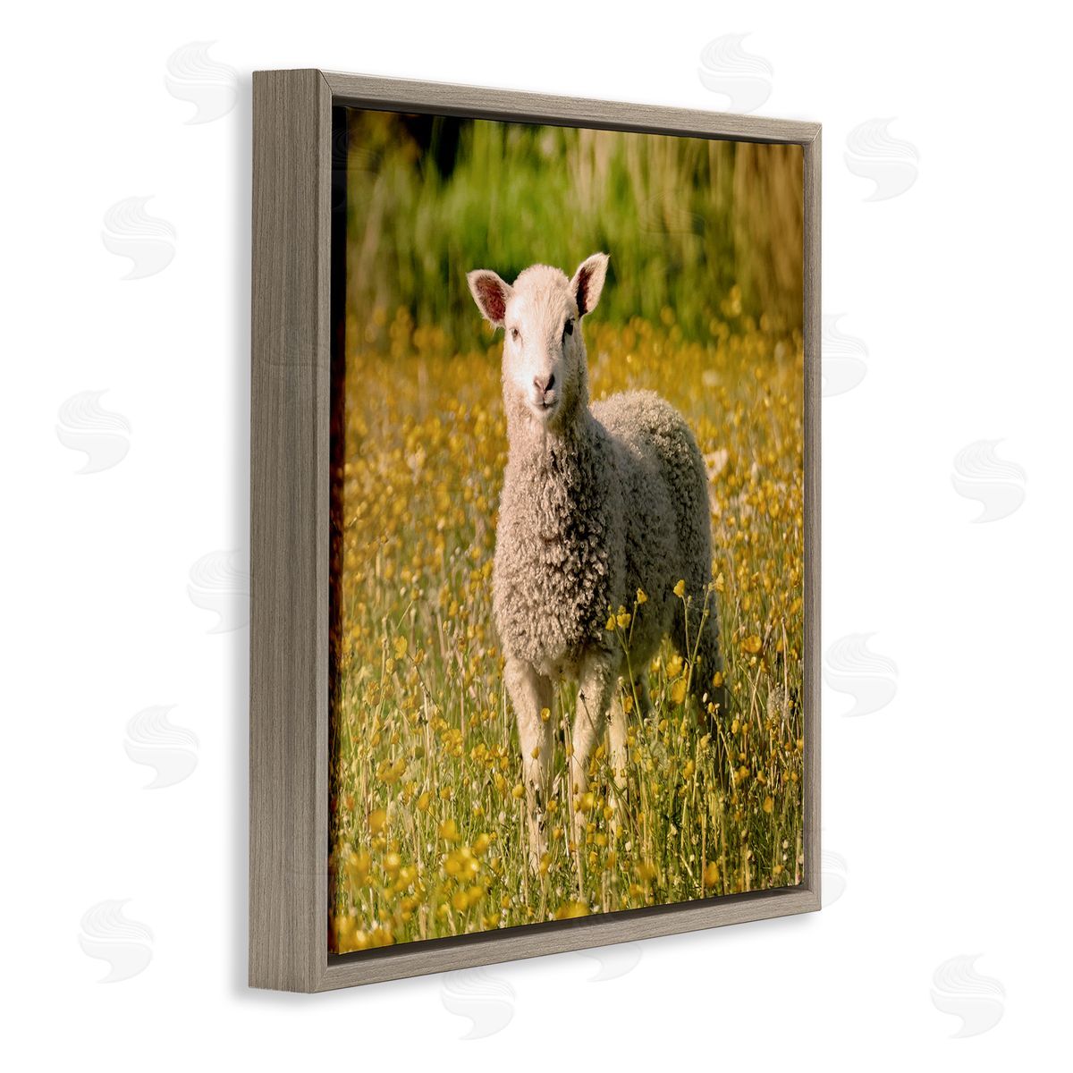 Stupell Studio Alert Baby Lamb Gazing Yellow Wild Flower Blossoms Brown Floating Frame Canvas Wall Art Print