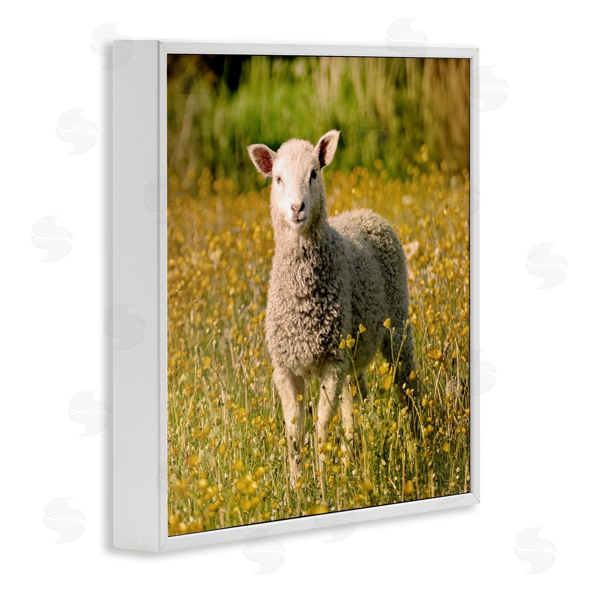 Stupell Studio Alert Baby Lamb Gazing Yellow Wild Flower Blossoms White Framed Glicee Wall Art Print