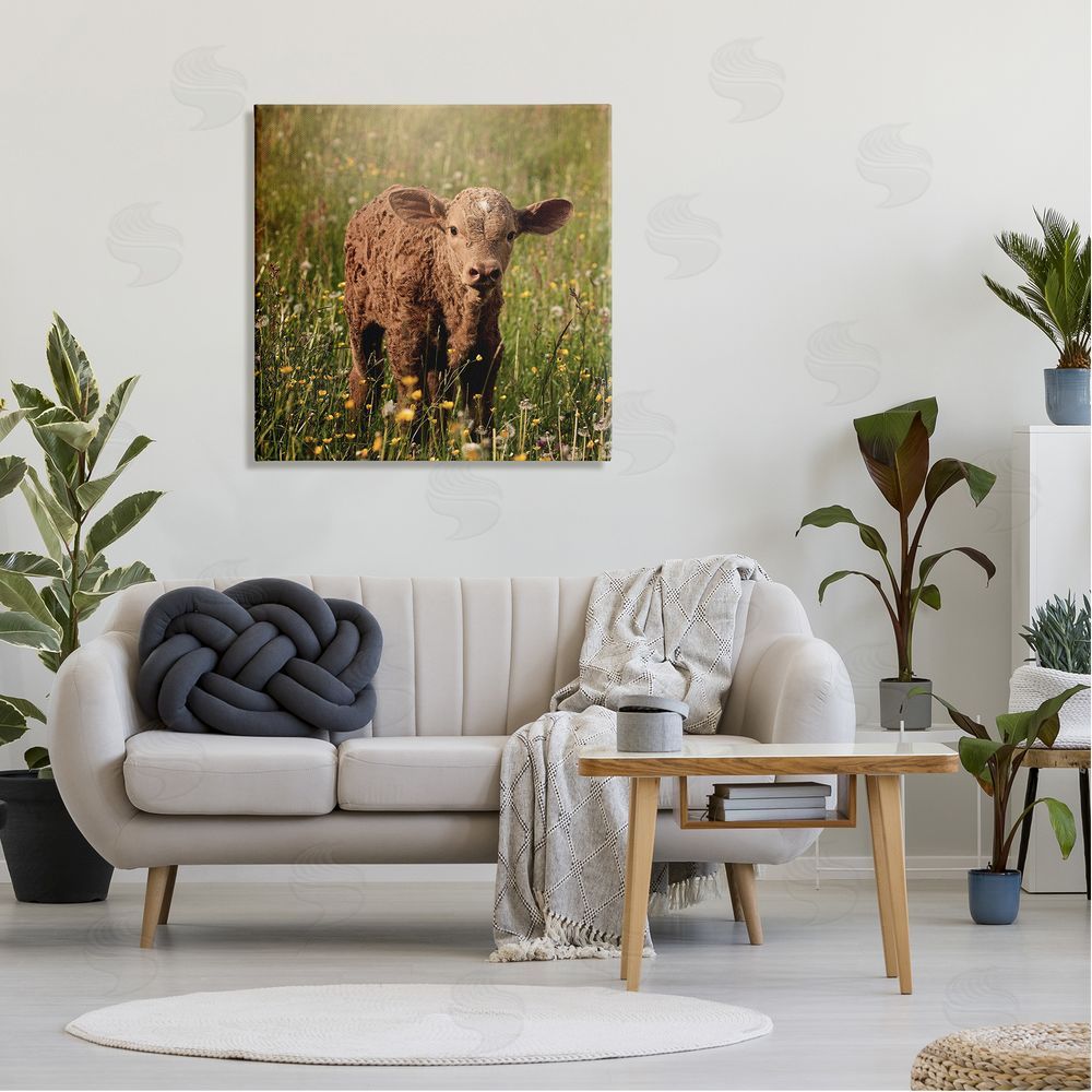 Stupell Studio Baby Calf Cow Among Flower Blossom Meadow Canvas Wall Art in Room