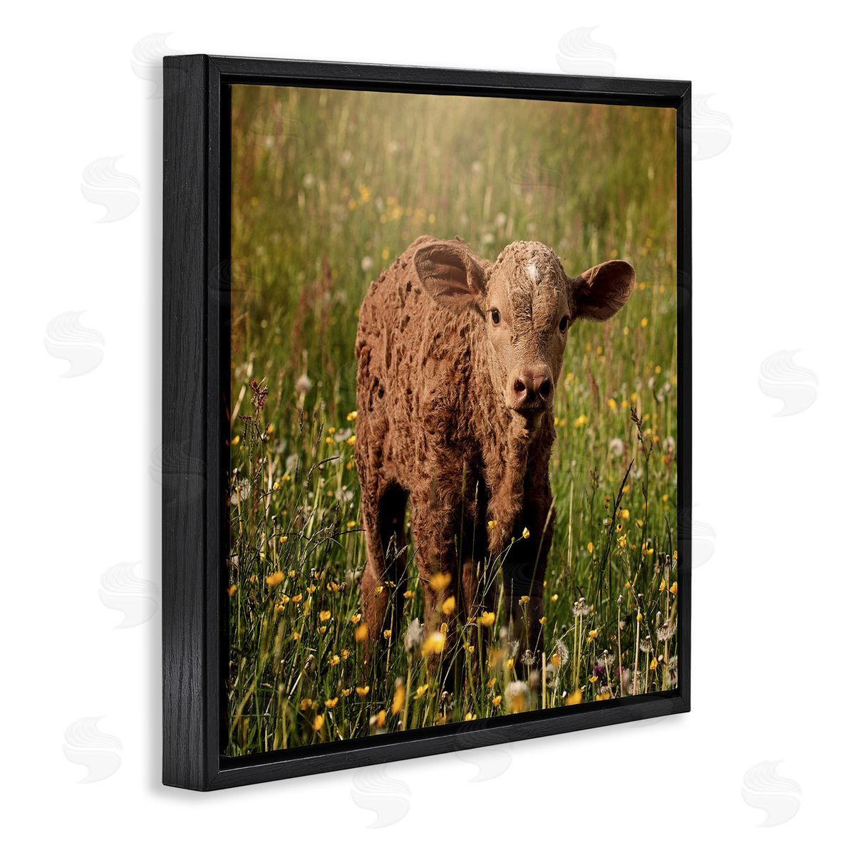 Stupell Studio Baby Calf Cow Among Flower Blossom Meadow Black Floating Frame Canvas Wall Art Print