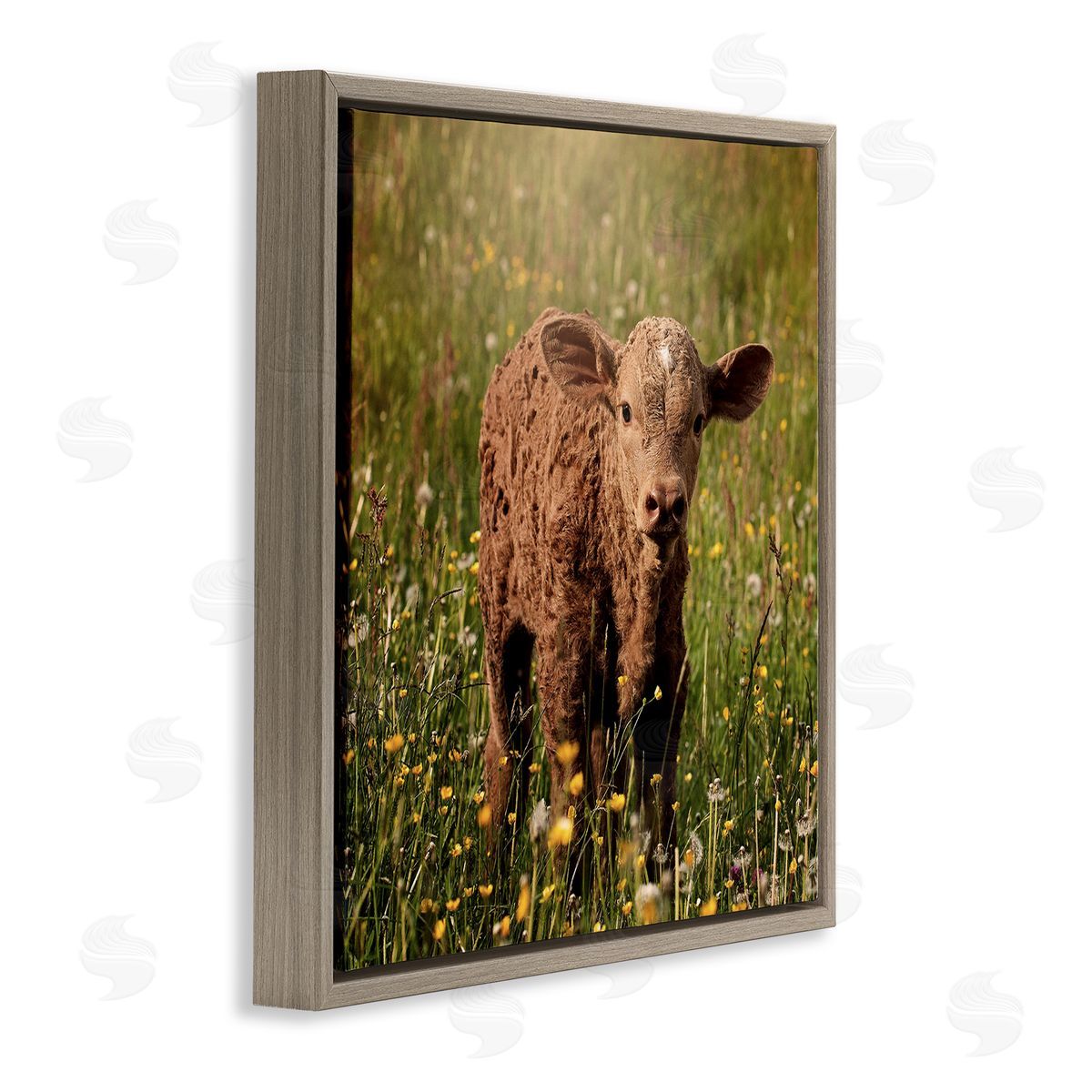 Stupell Studio Baby Calf Cow Among Flower Blossom Meadow Brown Floating Frame Canvas Wall Art Print