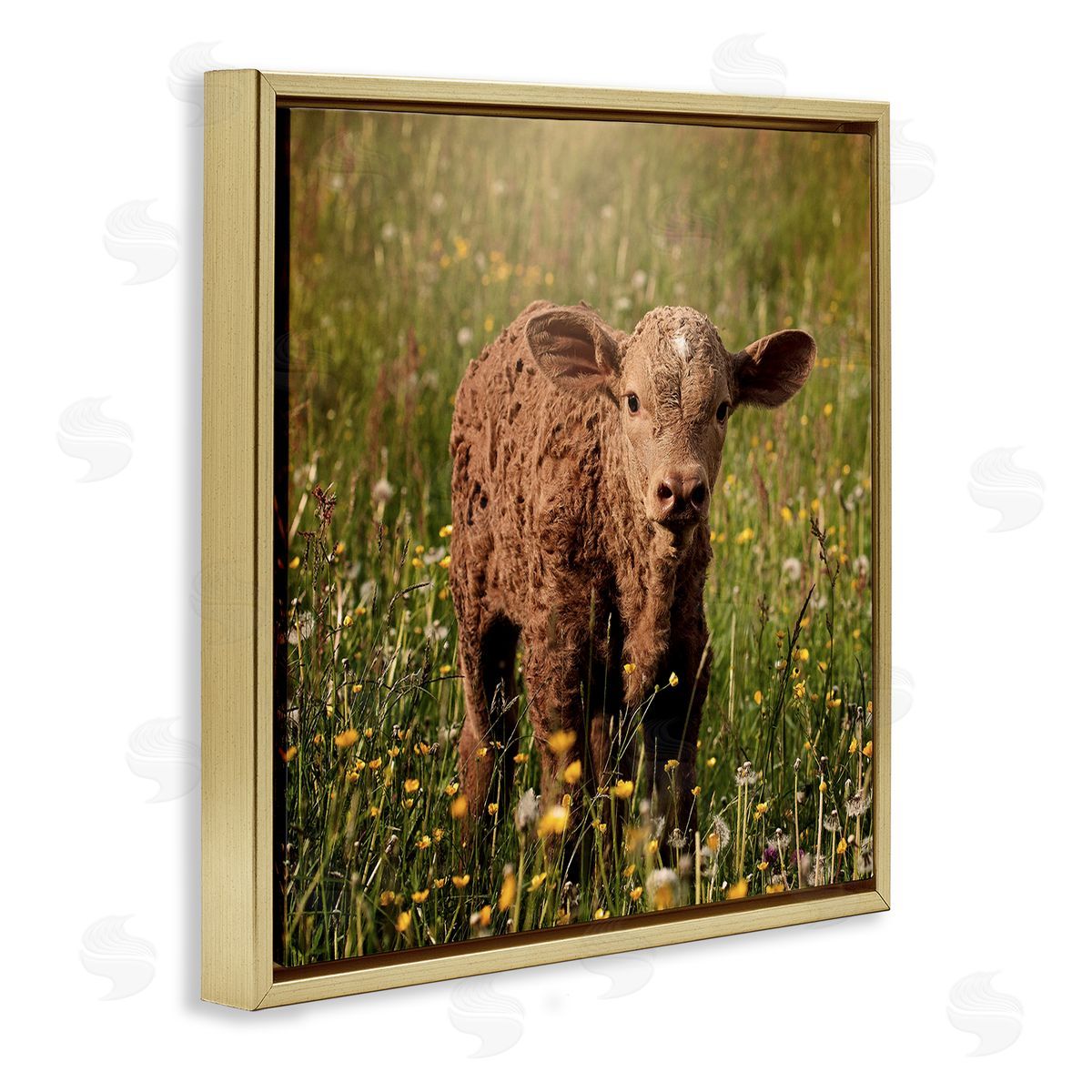 Stupell Studio Baby Calf Cow Among Flower Blossom Meadow Gold Floating Frame Canvas Wall Art Print