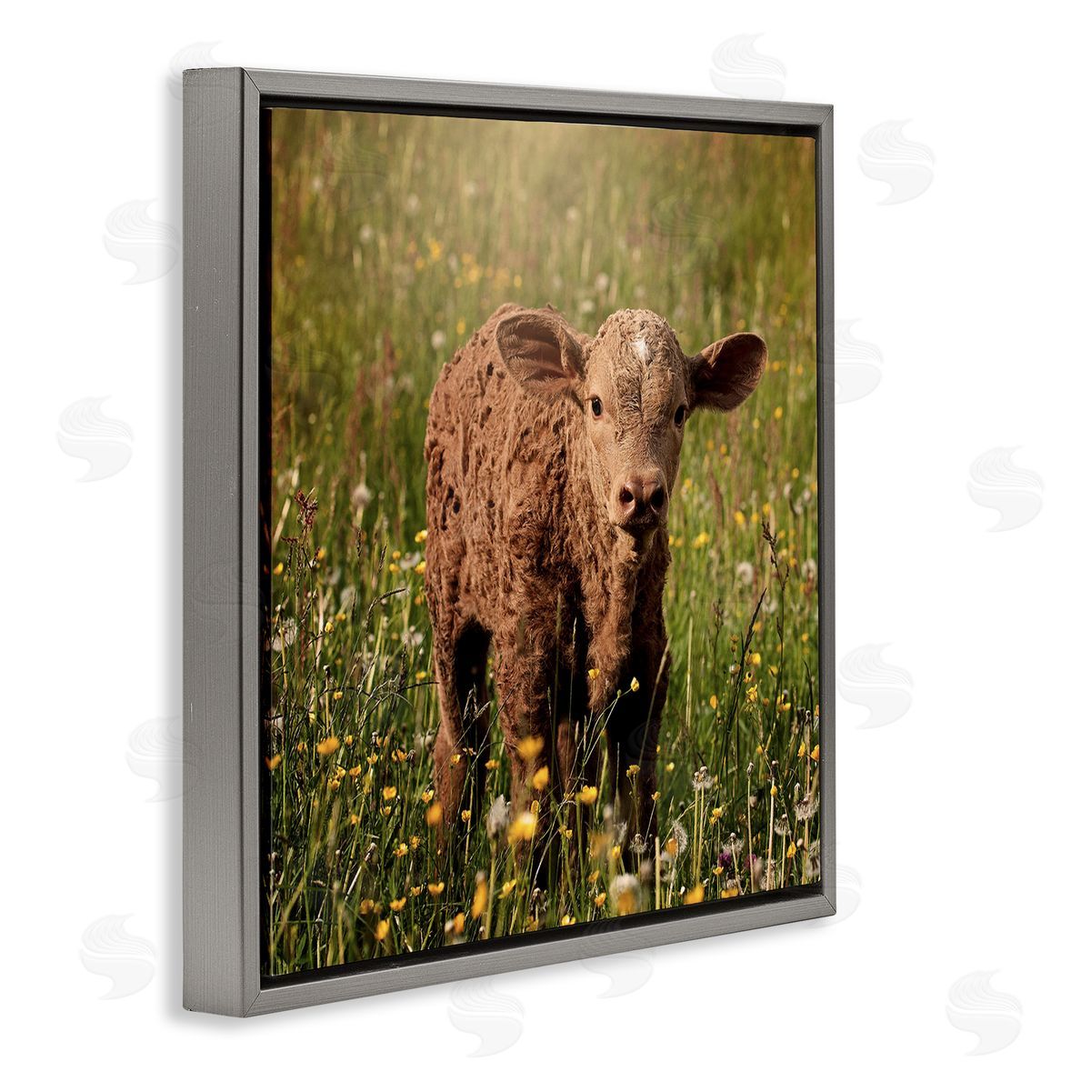 Stupell Studio Baby Calf Cow Among Flower Blossom Meadow Gray Floating Frame Canvas Wall Art Print