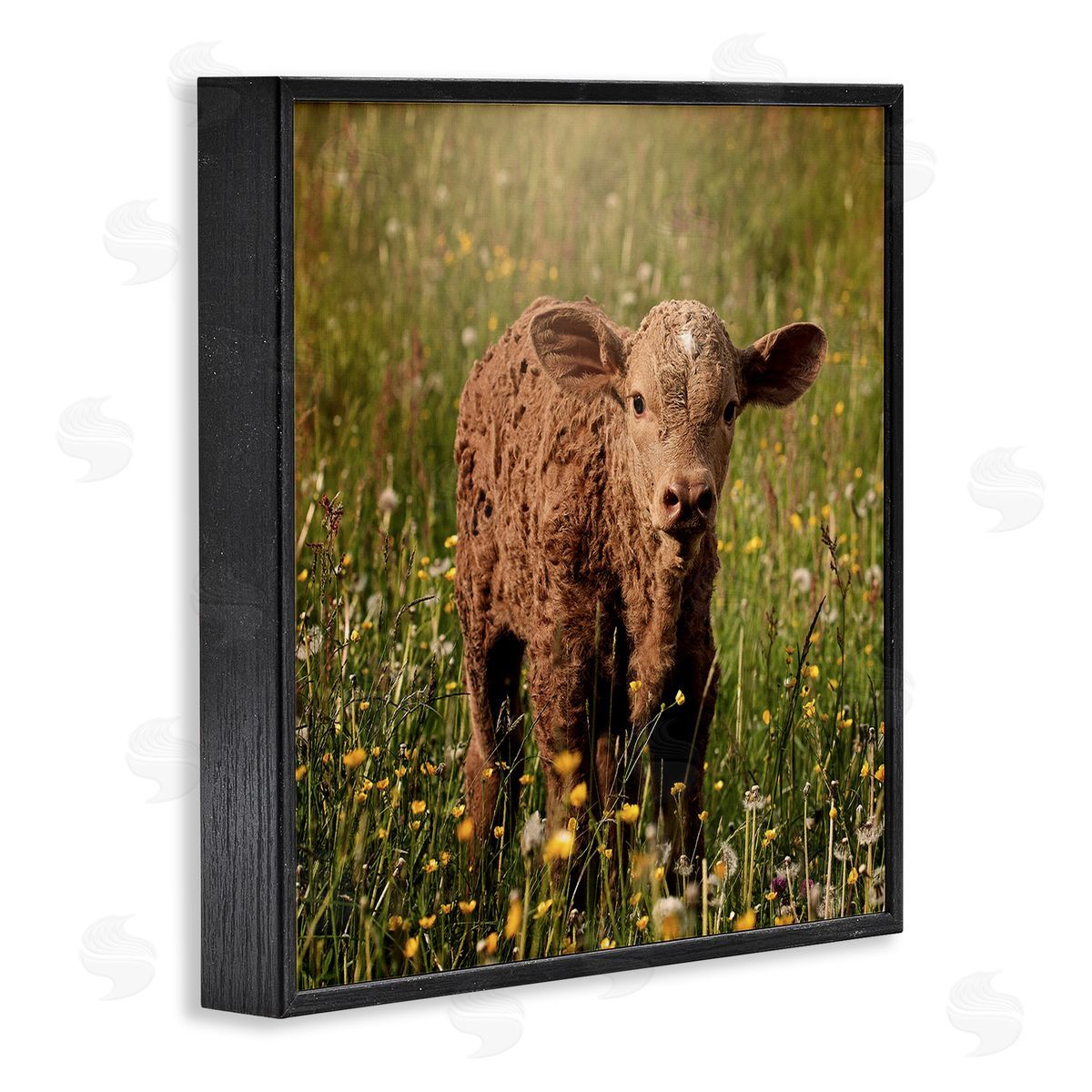 Stupell Studio Baby Calf Cow Among Flower Blossom Meadow Black Framed Glicee Wall Art Print
