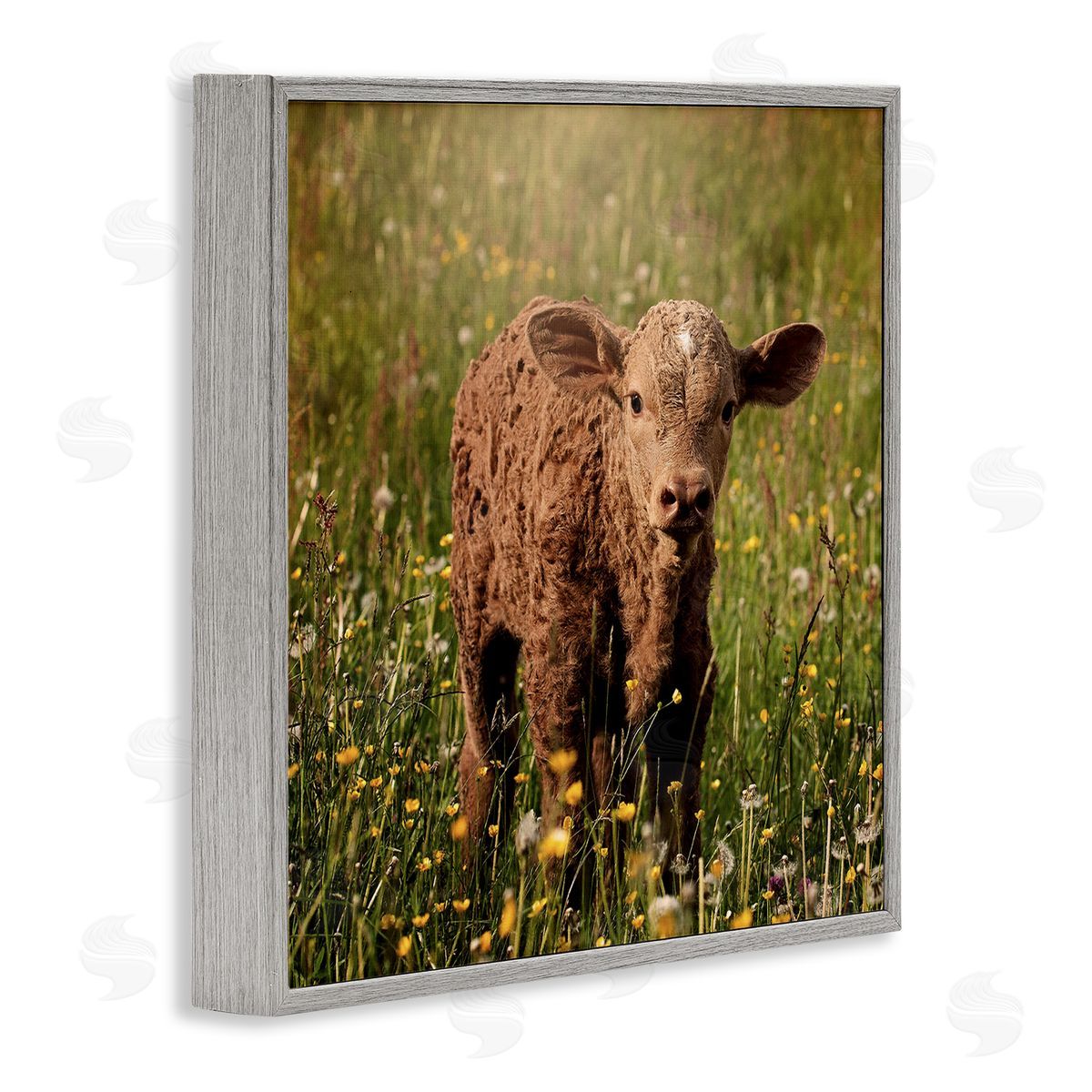 Stupell Studio Baby Calf Cow Among Flower Blossom Meadow Gray Framed Glicee Wall Art Print