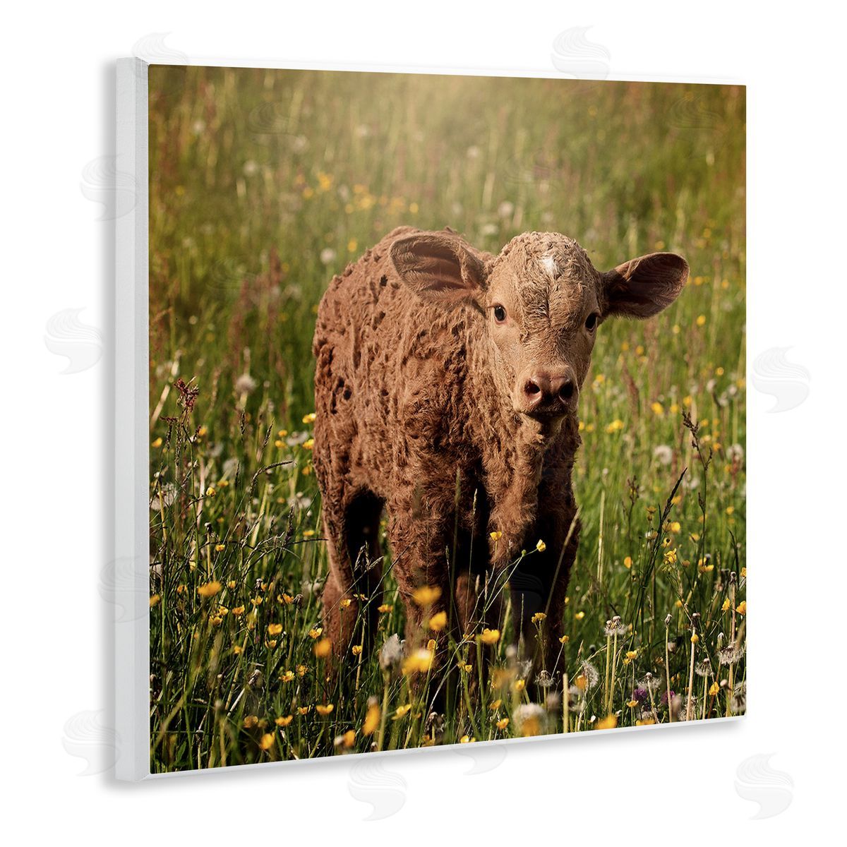 Stupell Studio Baby Calf Cow Among Flower Blossom Meadow Wooden Wall Plaque Art Print