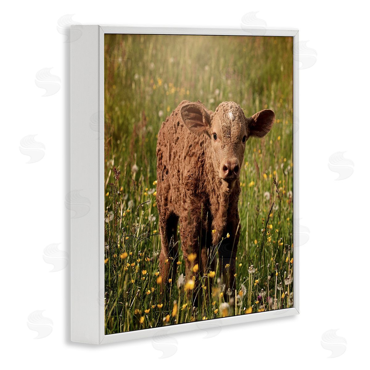 Stupell Studio Baby Calf Cow Among Flower Blossom Meadow White Framed Glicee Wall Art Print