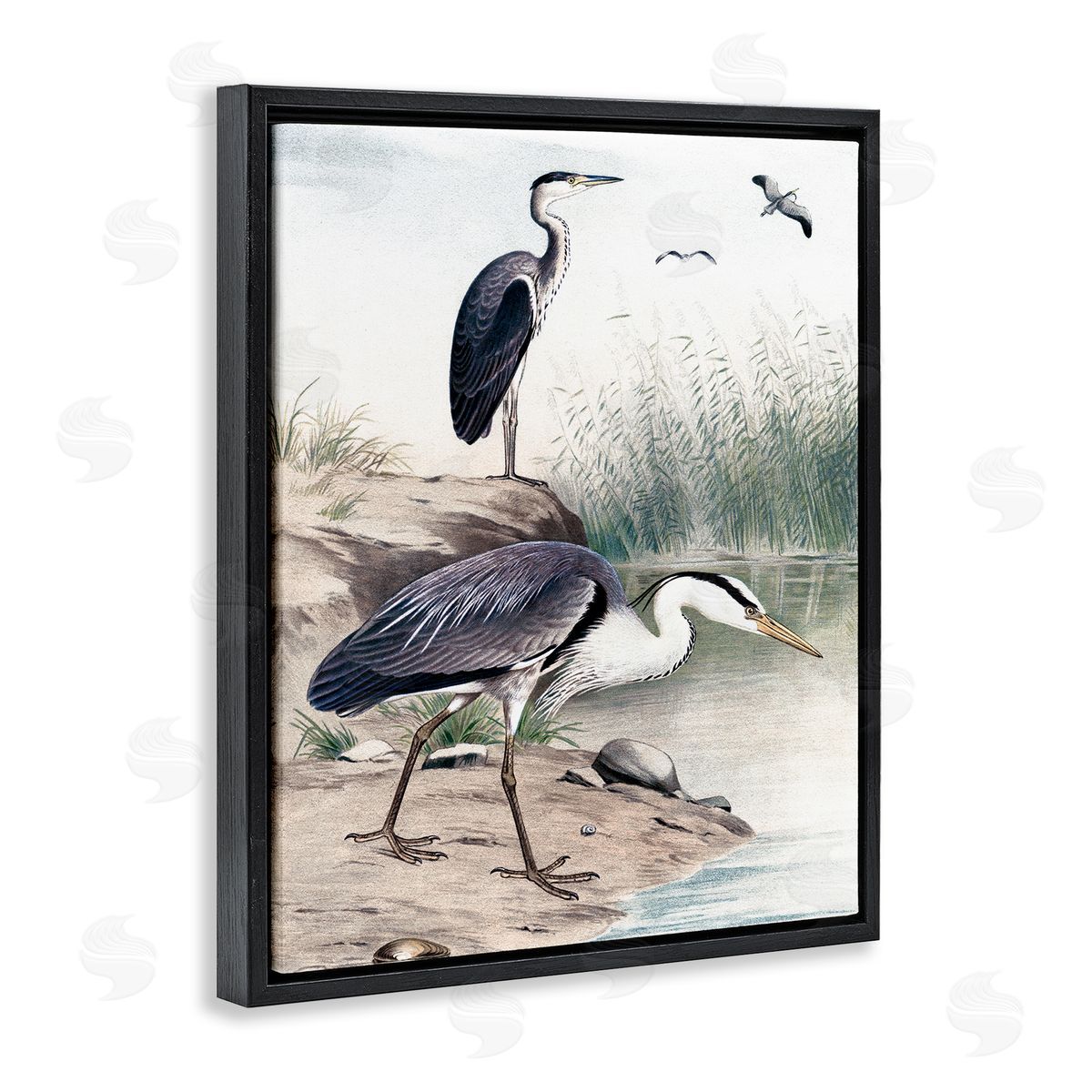 Piddix Heron Birds on Lake Shore Pampas Grass Nature Black Floating Frame Canvas Wall Art Print