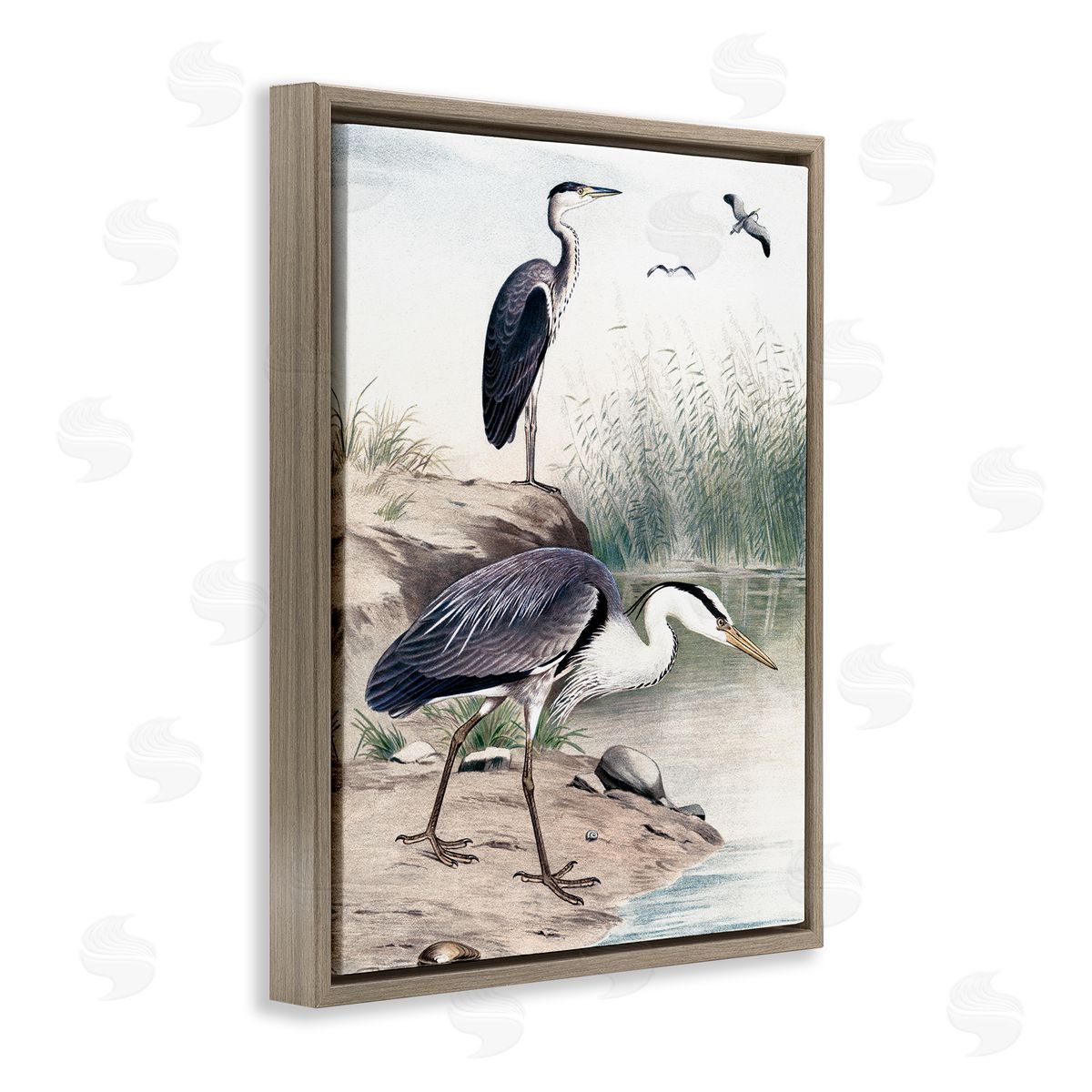 Piddix Heron Birds on Lake Shore Pampas Grass Nature Brown Floating Frame Canvas Wall Art Print
