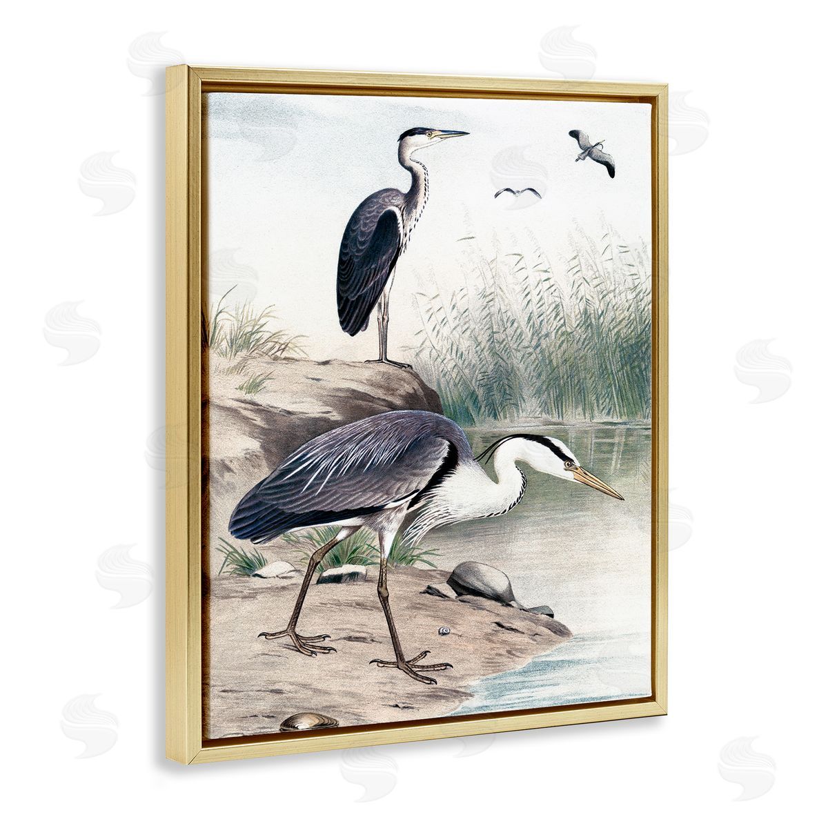 Piddix Heron Birds on Lake Shore Pampas Grass Nature Gold Floating Frame Canvas Wall Art Print